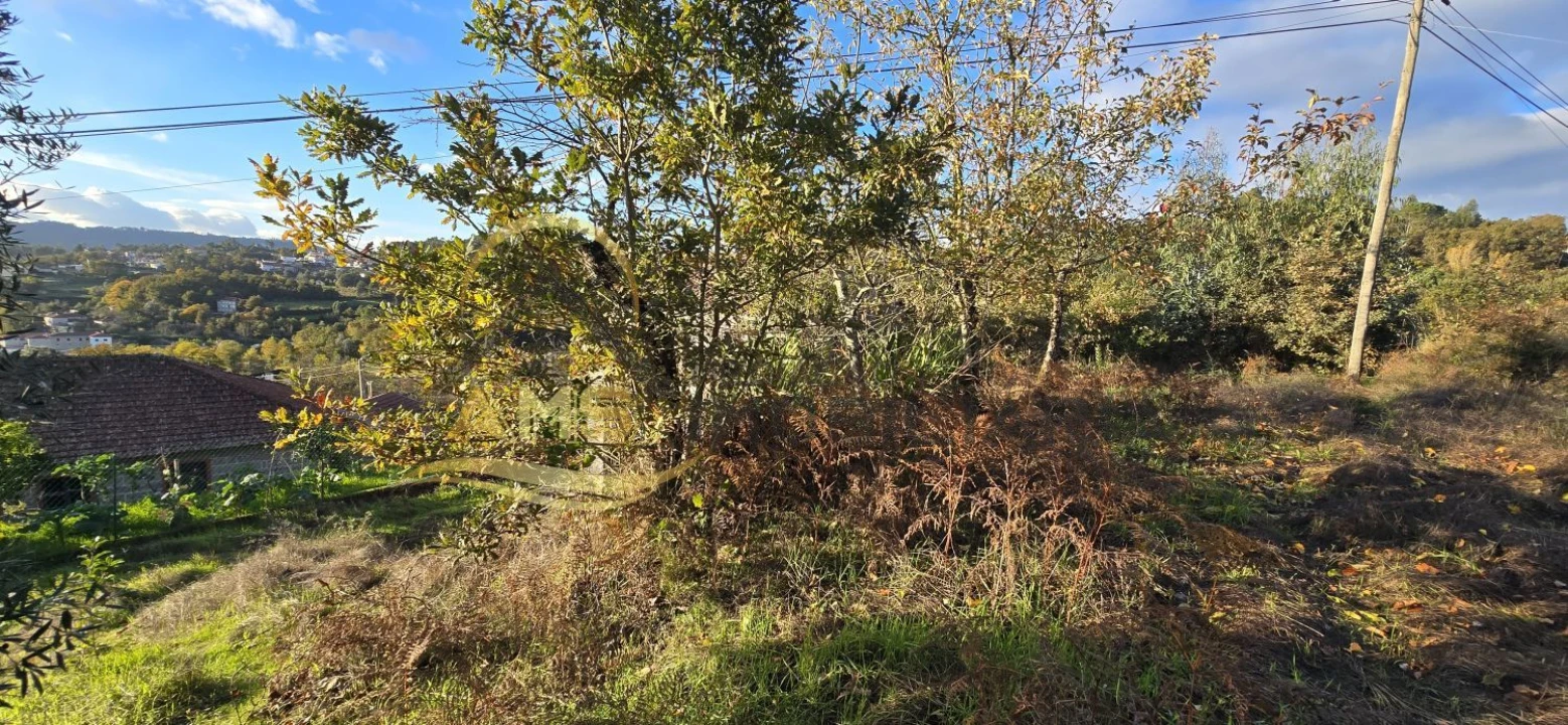 Terreno para Venda em Revelhe Foto 21
