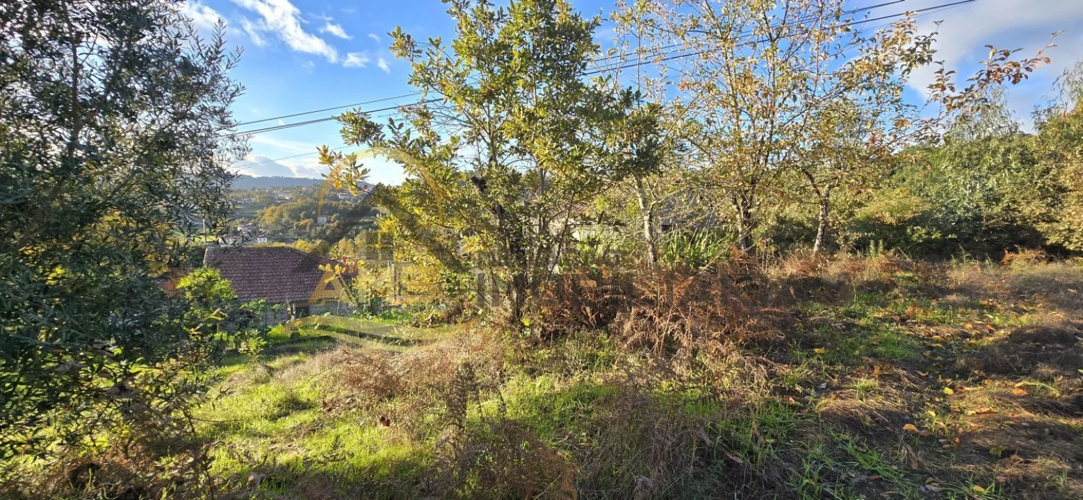 Terreno para Venda em Revelhe Foto 25