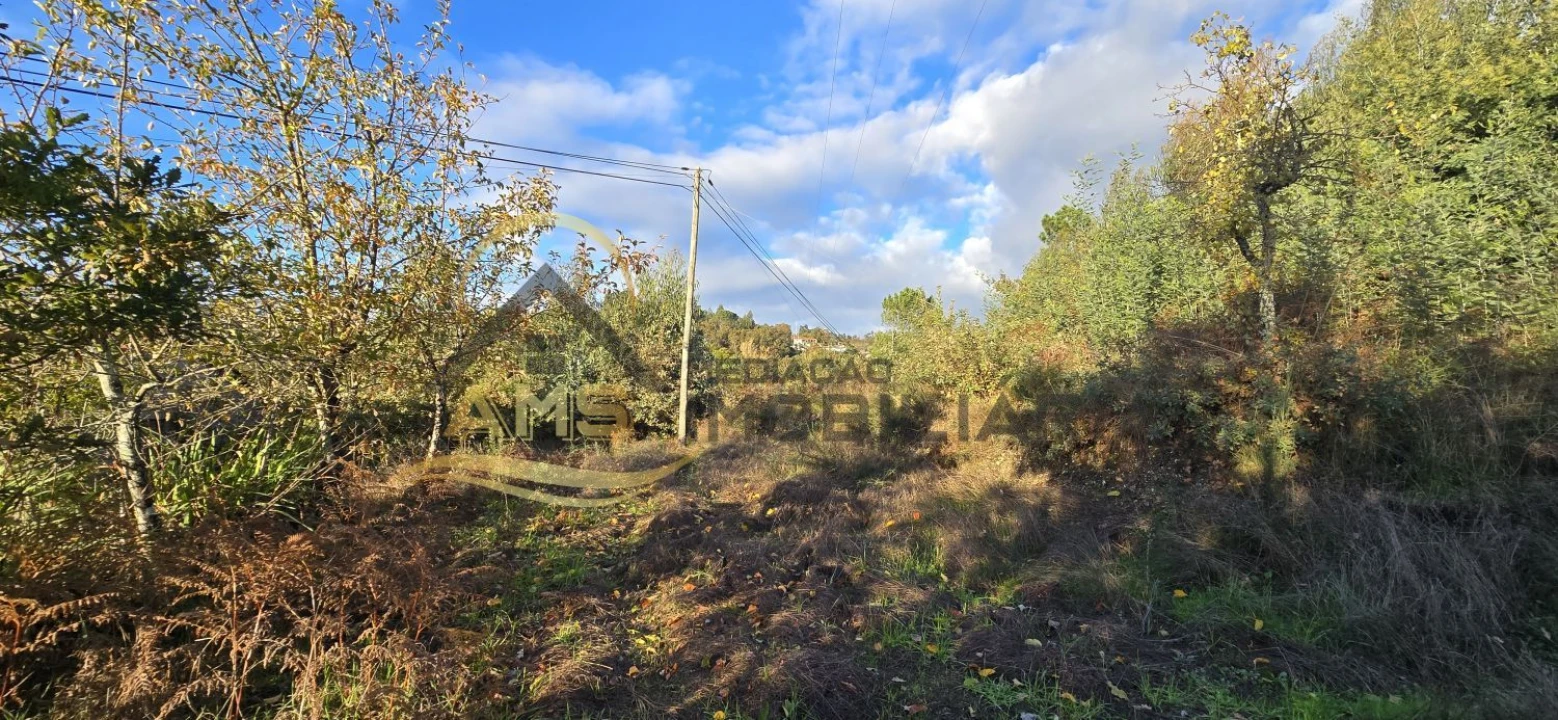 Terreno para Venda em Revelhe Foto 20