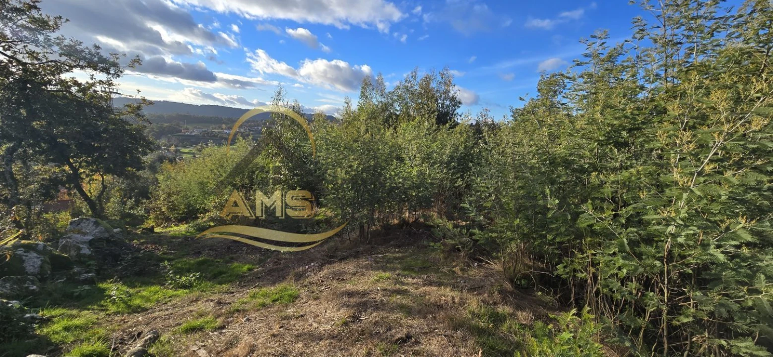 Terreno para Venda em Revelhe Foto 9