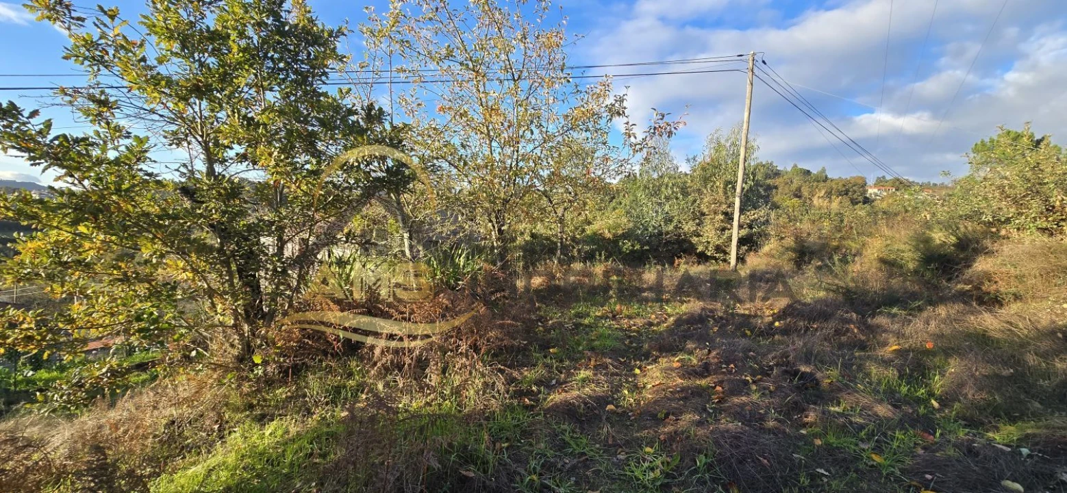 Terreno para Venda em Revelhe Foto 27