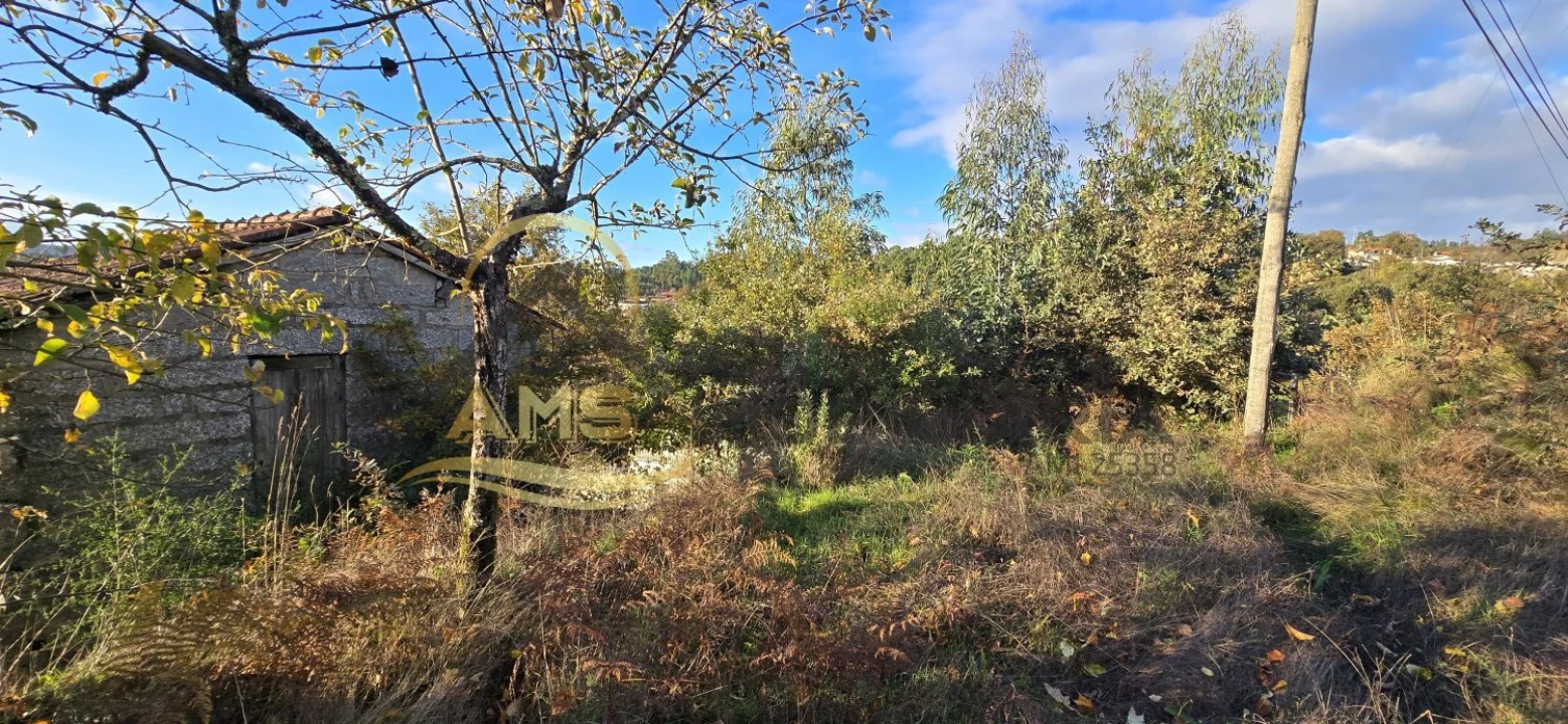 Terreno para Venda em Revelhe Foto 23