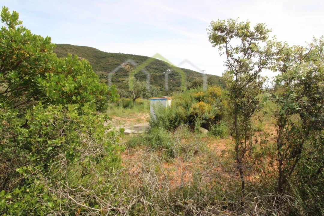 Terreno Agricola ou Rústico para Venda em Santa Barbara de Nexe Foto 4