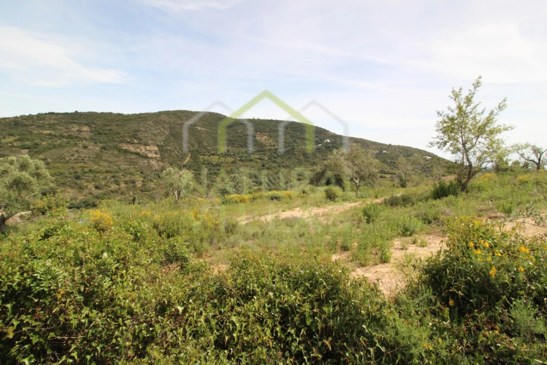Terreno Agricola ou Rústico para Venda em Santa Barbara de Nexe Foto 2