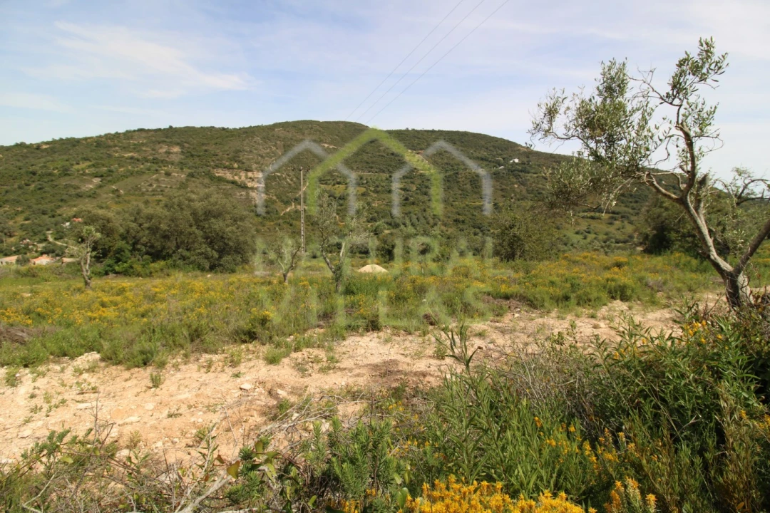 Terreno Agricola ou Rústico para Venda em Santa Barbara de Nexe Foto 6