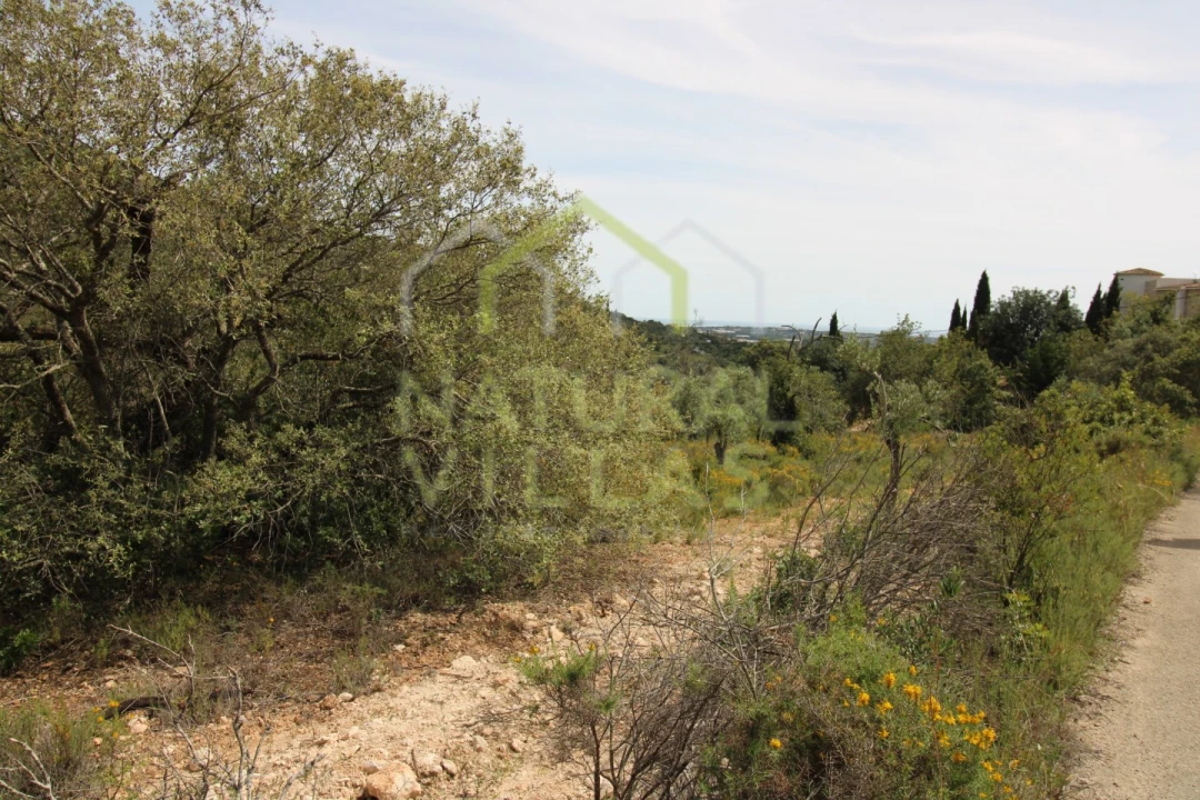 Terreno Agricola ou Rústico para Venda em Santa Barbara de Nexe Foto 3