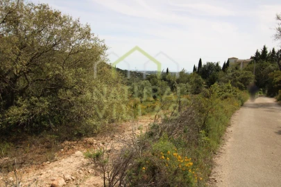 Terreno Agricola ou Rústico para Venda em Conceição e Estoi