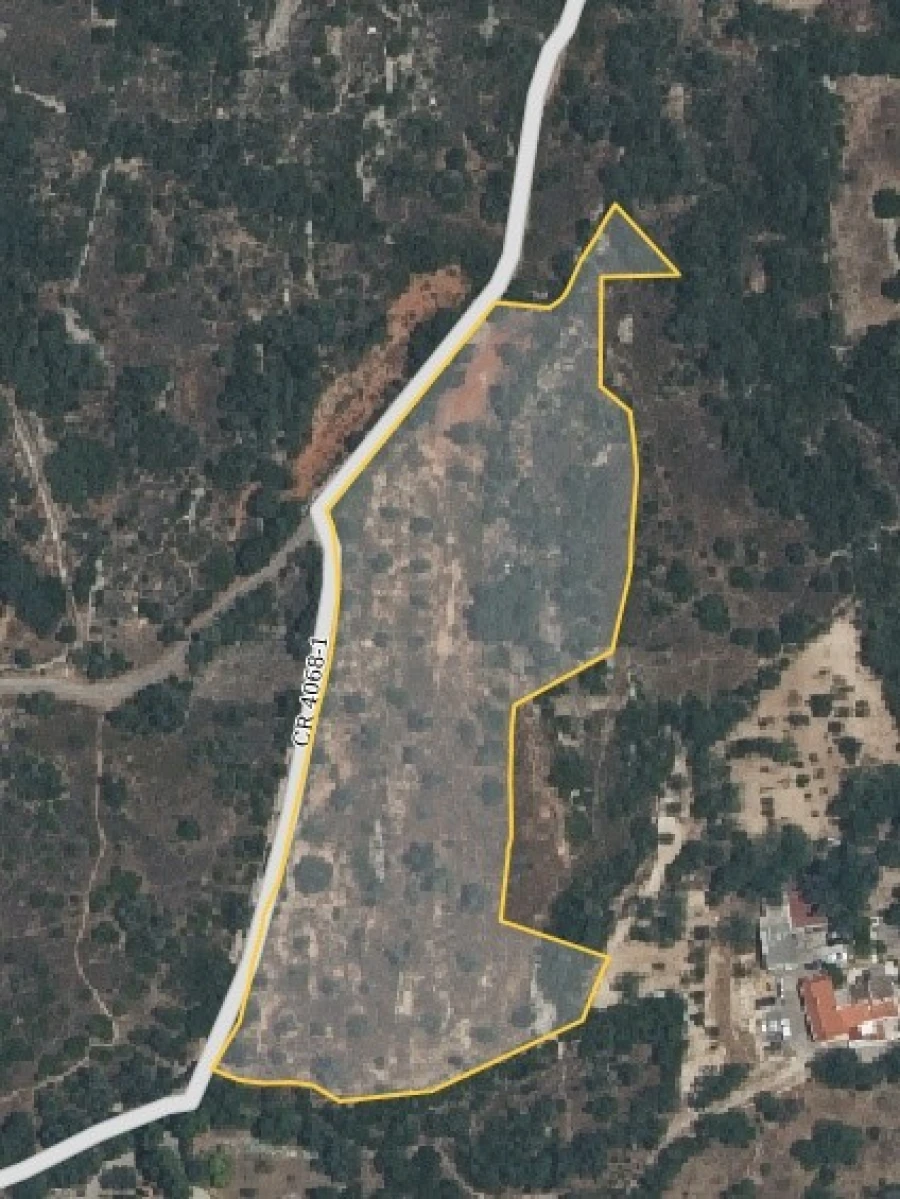 Terreno Agricola ou Rústico para Venda em Santa Barbara de Nexe Planta 1