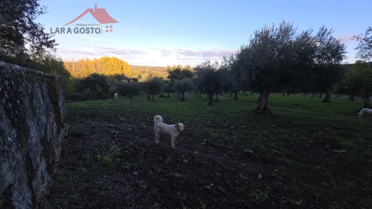Quinta T2 para Venda em Vinhas Foto 12