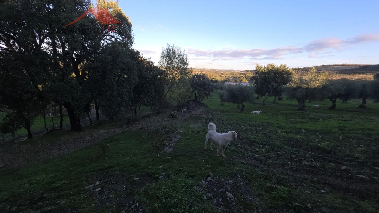 Quinta T2 para Venda em Vinhas Foto 14