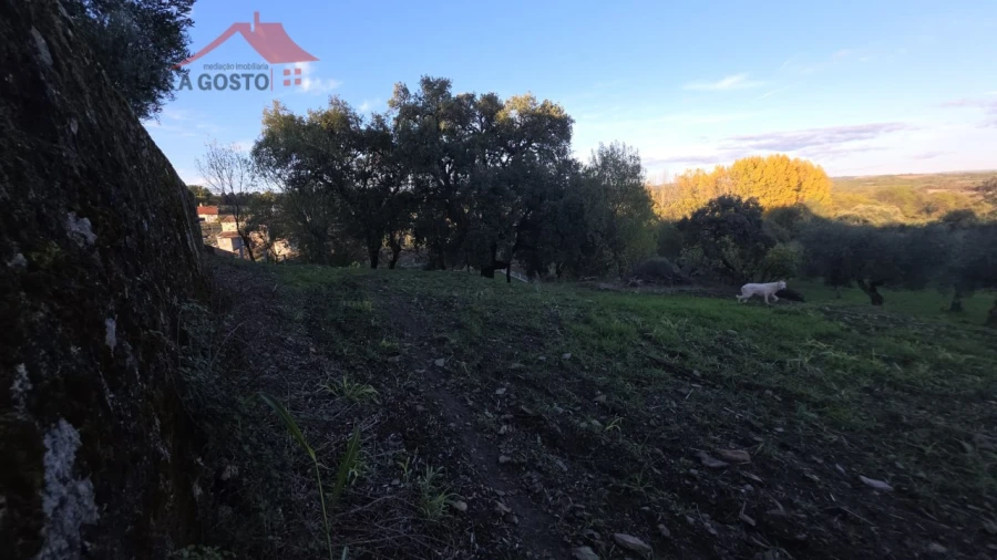 Quinta T2 para Venda em Vinhas Foto 13