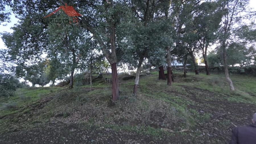 Quinta T2 para Venda em Vinhas Foto 20