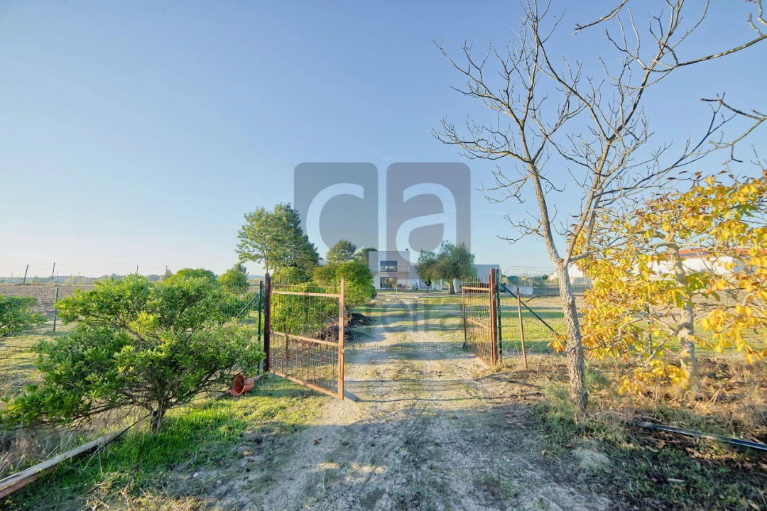 Moradia T4 para Venda em Alpiarça Foto 37