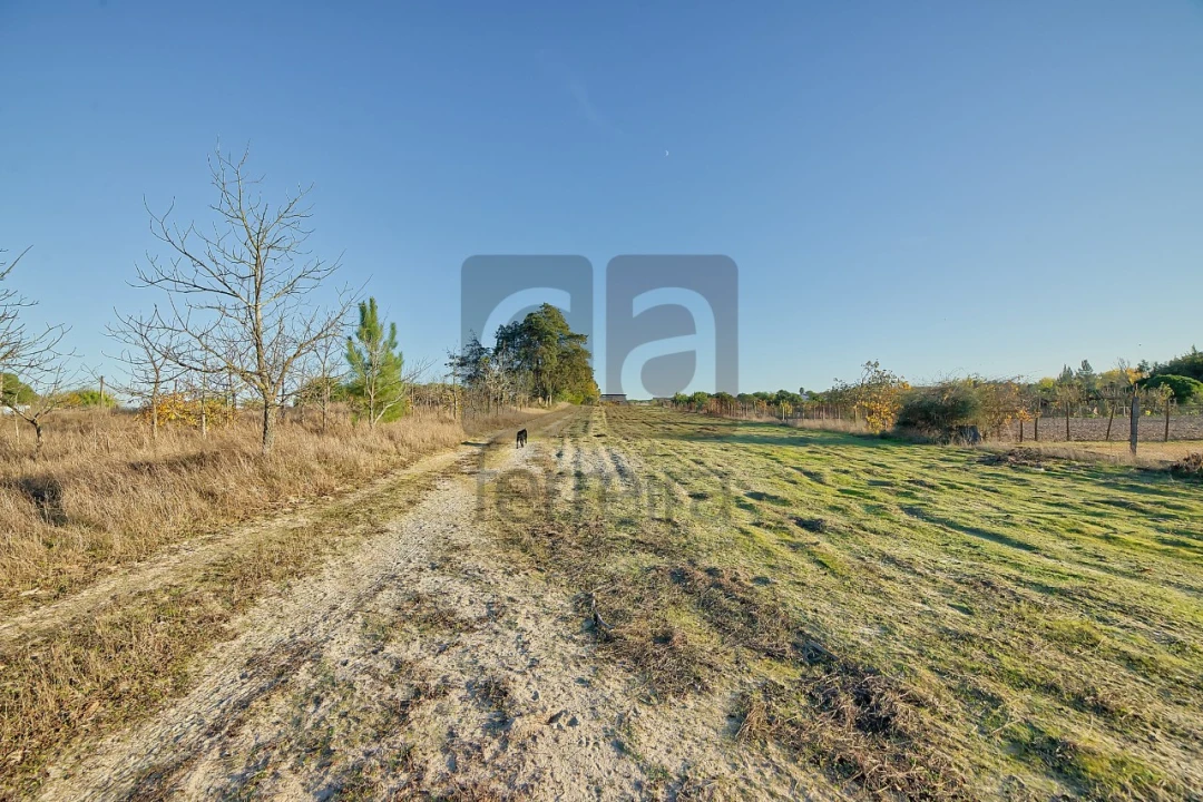 Moradia T4 para Venda em Alpiarça Foto 41