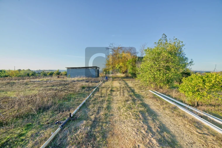 Moradia T4 para Venda em Alpiarça Foto 36