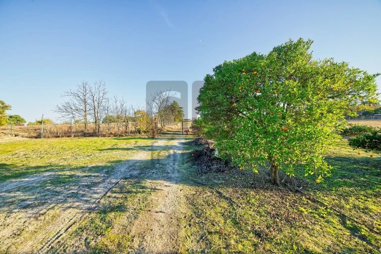 Moradia T4 para Venda em Alpiarça Foto 39