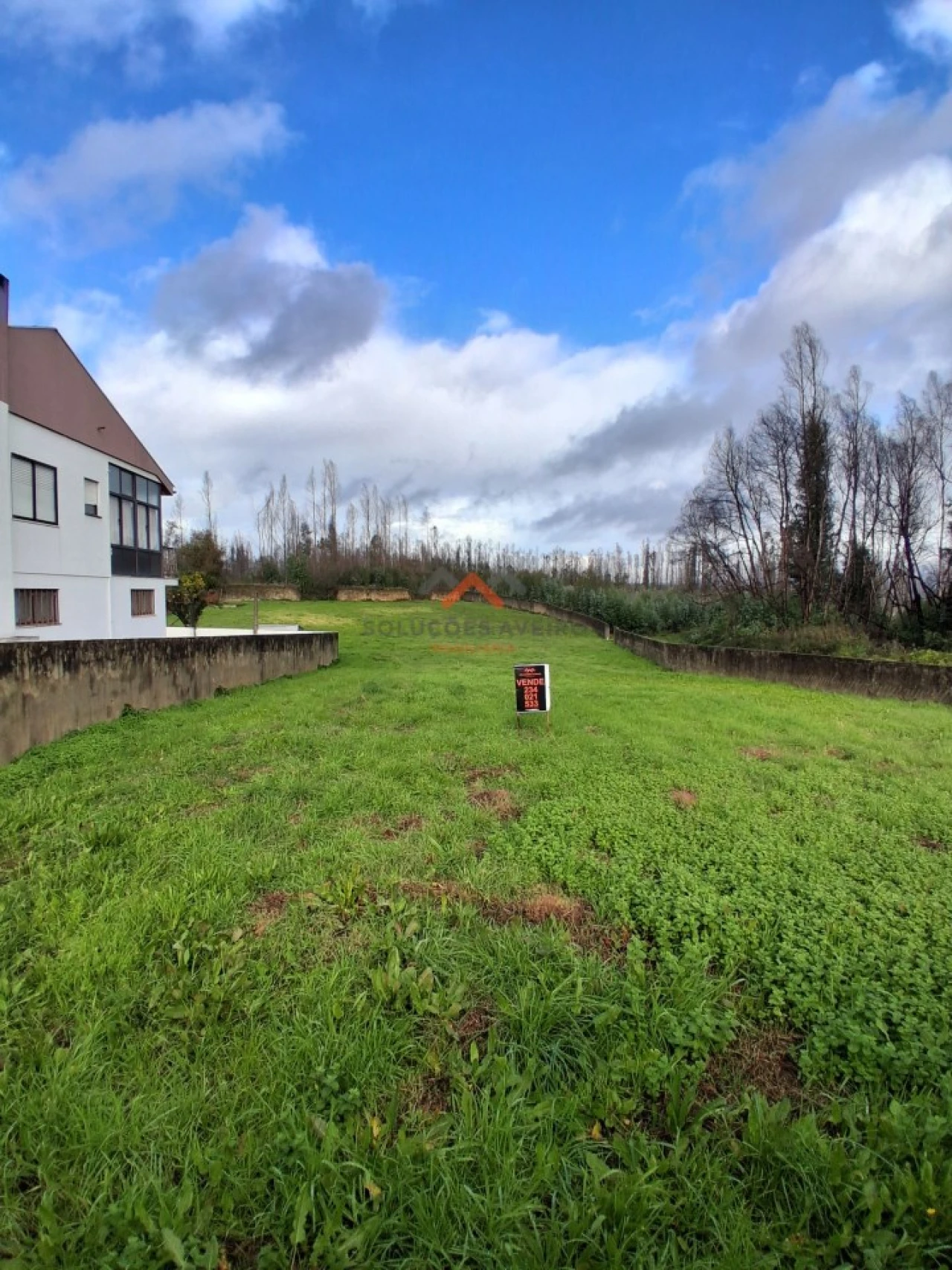 Terreno para Venda em Albergaria-A-Velha e Valmaior Foto 5
