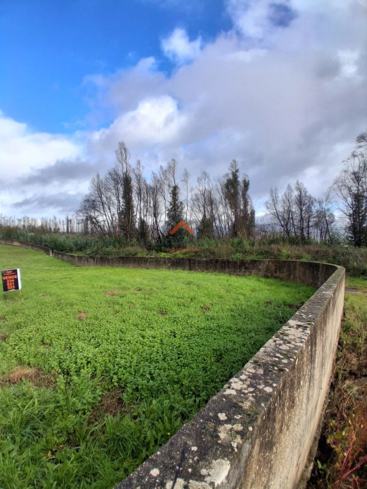 Terreno para Venda em Albergaria-A-Velha e Valmaior Foto 6