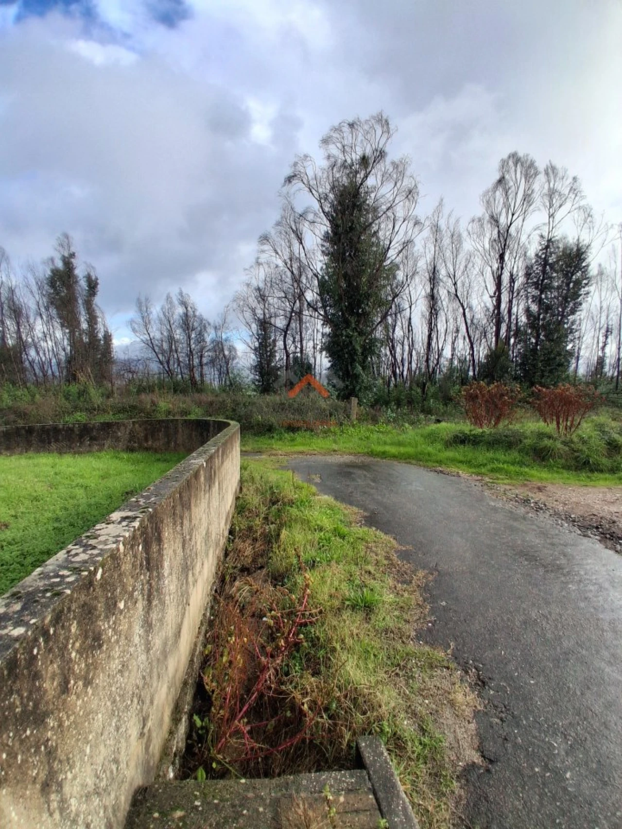 Terreno para Venda em Albergaria-A-Velha e Valmaior Foto 11