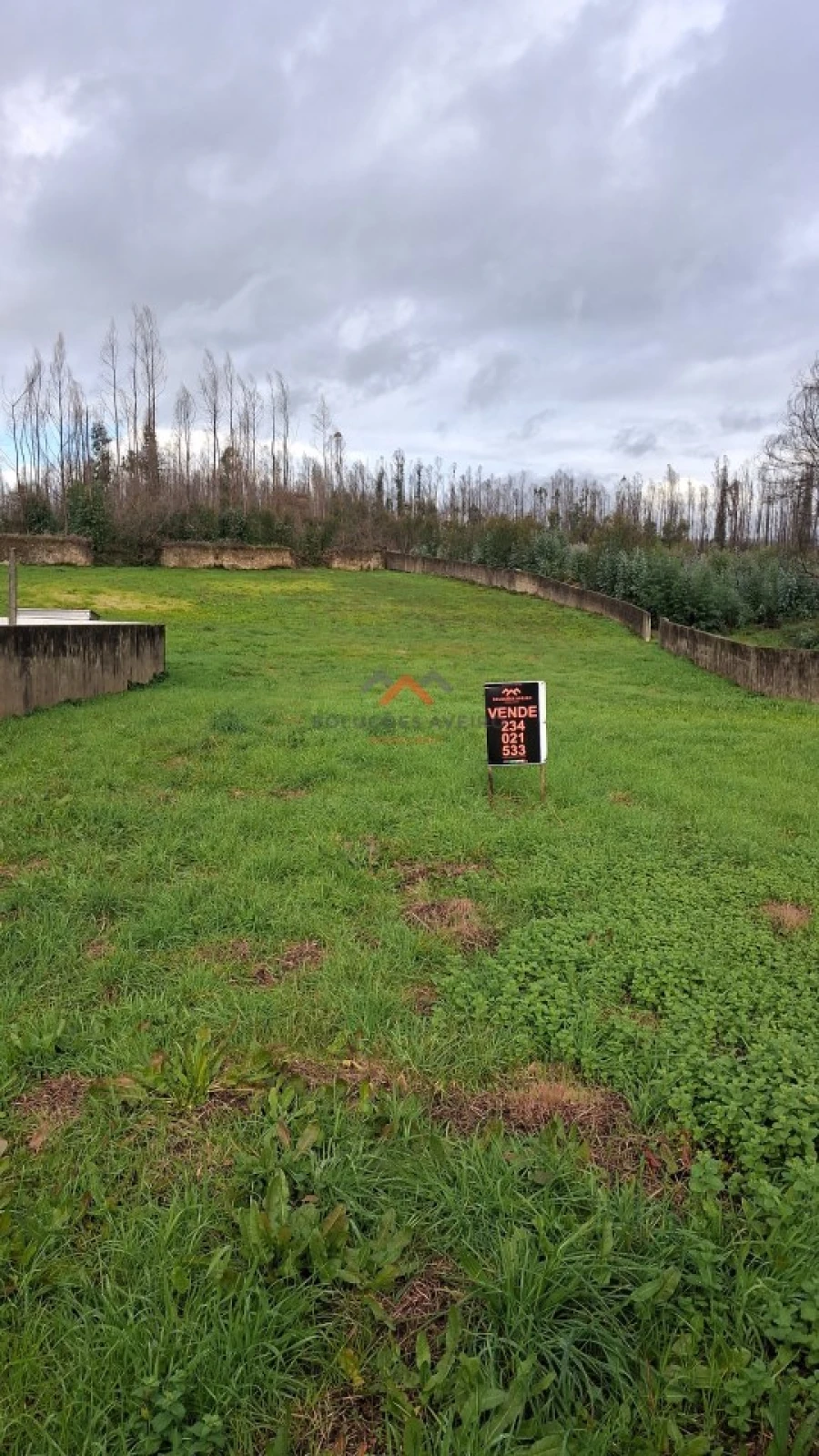 Terreno para Venda em Albergaria-A-Velha e Valmaior Foto 7