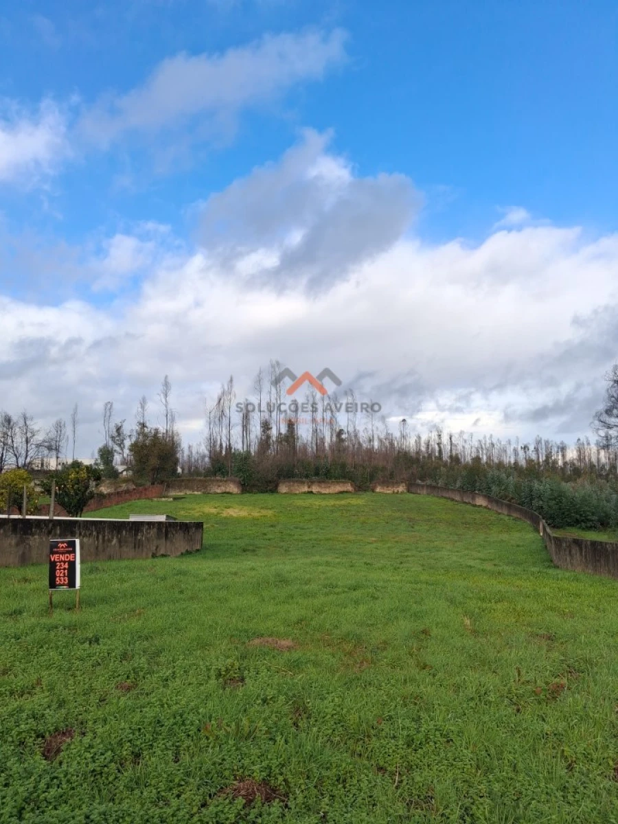 Terreno para Venda em Albergaria-A-Velha e Valmaior Foto 8