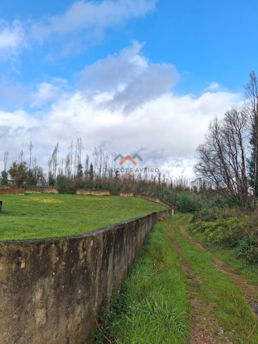 Terreno para Venda em Albergaria-A-Velha e Valmaior Foto 9