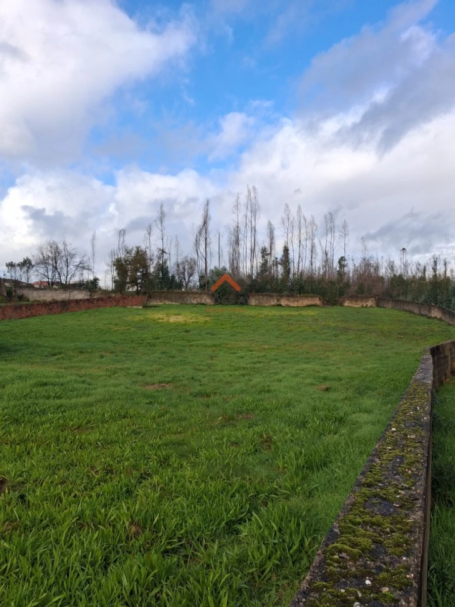 Terreno para Venda em Albergaria-A-Velha e Valmaior Foto 10