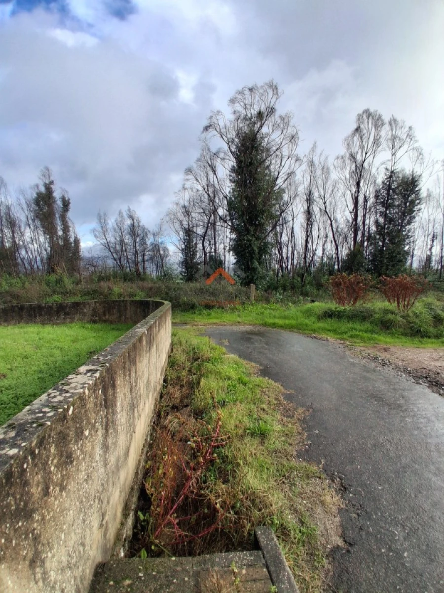 Terreno para Venda em Albergaria-A-Velha e Valmaior Foto 11