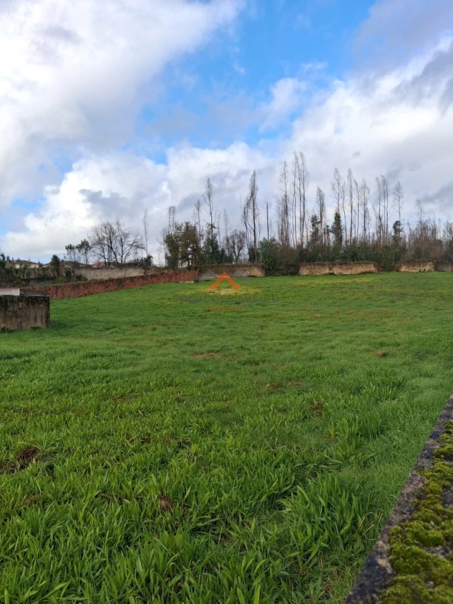 Terreno para Venda em Albergaria-A-Velha e Valmaior Foto 12