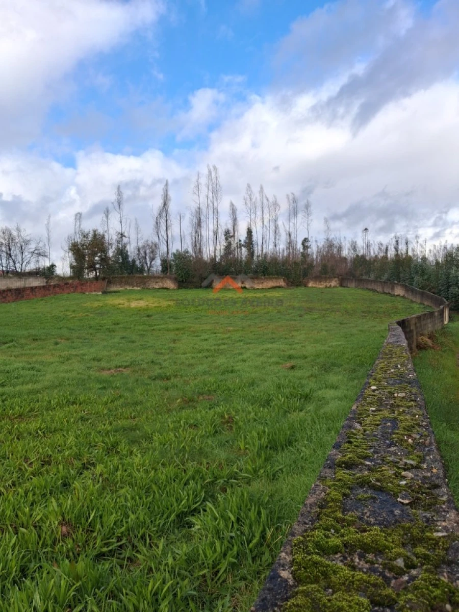 Terreno para Venda em Albergaria-A-Velha e Valmaior Foto 13