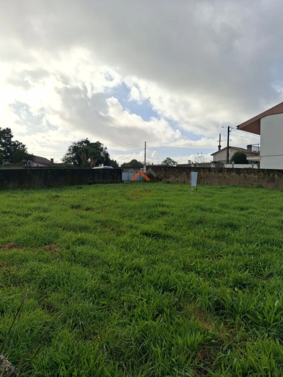 Terreno para Venda em Albergaria-A-Velha e Valmaior Foto 14