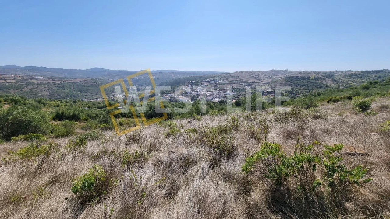 Terreno Agricola ou Rústico para Venda em São João das Lampas e Terrugem Foto 11