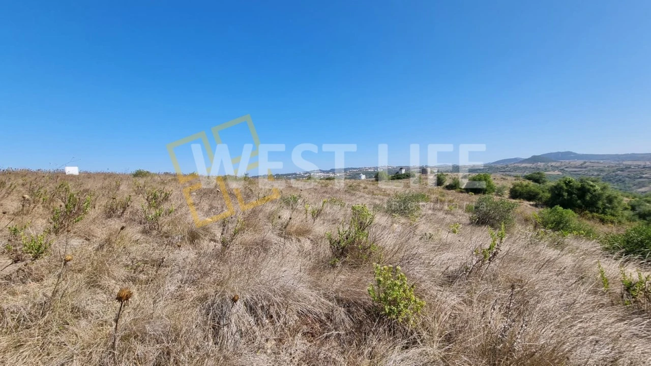Terreno Agricola ou Rústico para Venda em São João das Lampas e Terrugem Foto 15