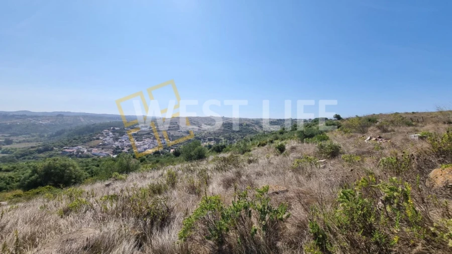 Terreno Agricola ou Rústico para Venda em São João das Lampas e Terrugem Foto 10