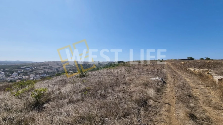 Terreno Agricola ou Rústico para Venda em São João das Lampas e Terrugem Foto 14