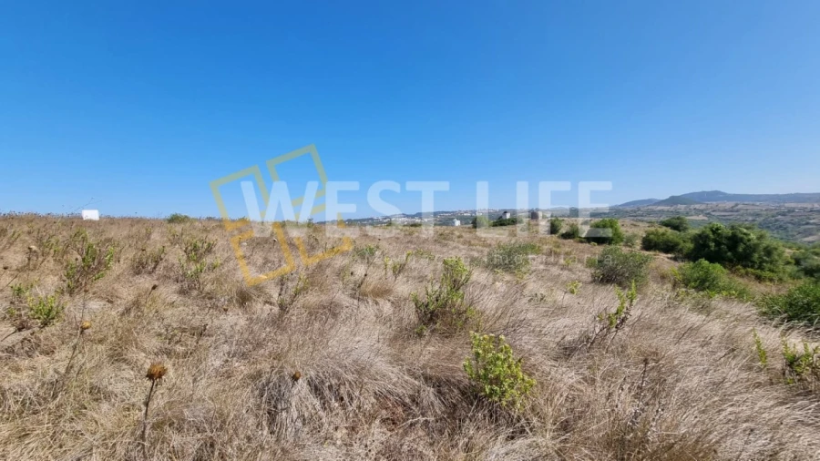 Terreno Agricola ou Rústico para Venda em São João das Lampas e Terrugem Foto 15