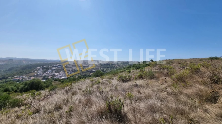 Terreno Agricola ou Rústico para Venda em São João das Lampas e Terrugem Foto 16