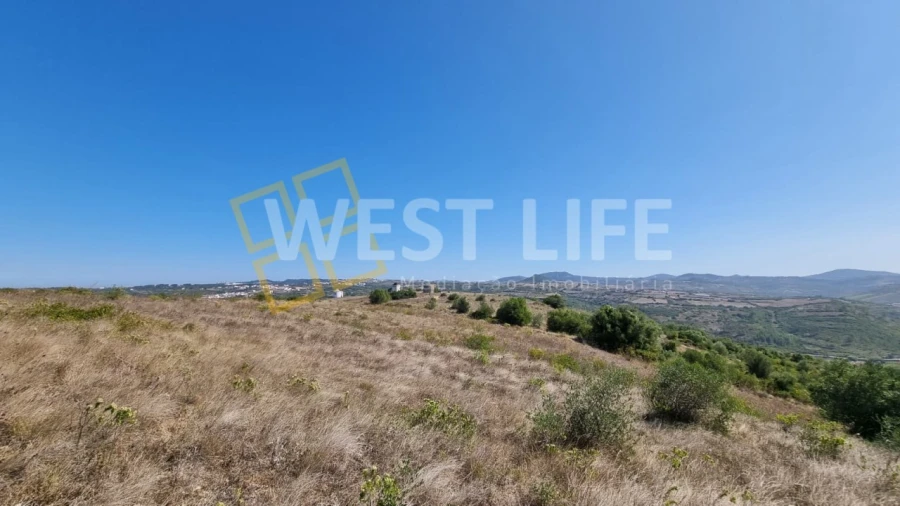 Terreno Agricola ou Rústico para Venda em São João das Lampas e Terrugem Foto 19