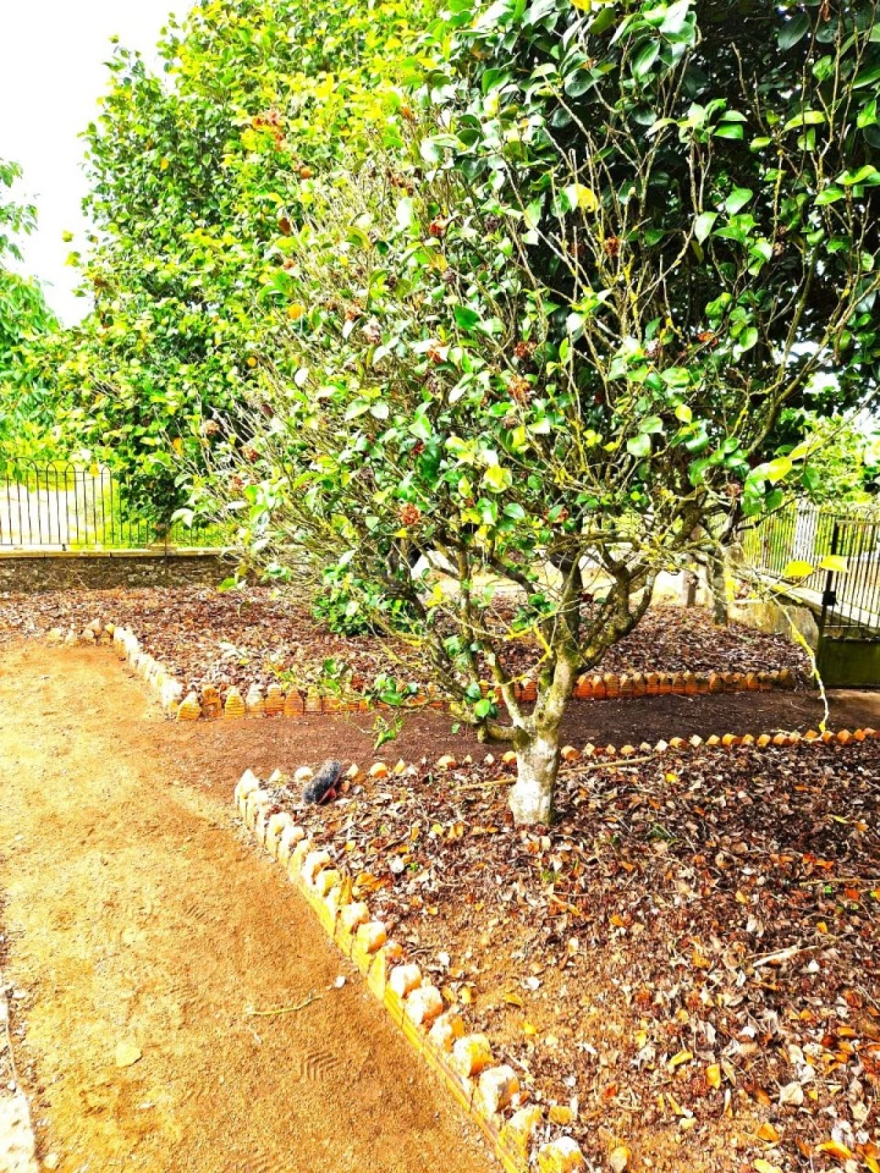 Quinta T3 para Venda em Ferreira do Zezere Foto 3