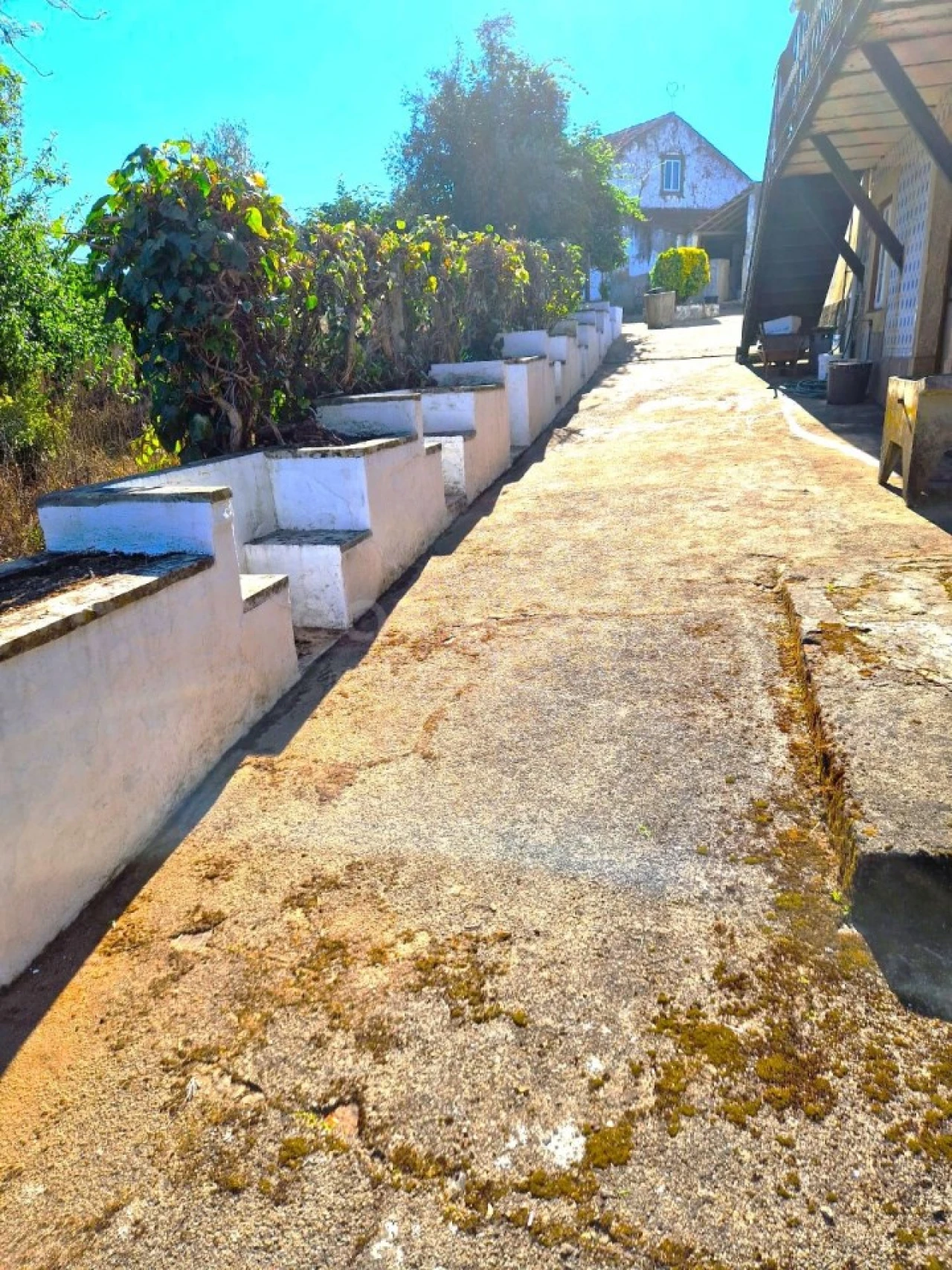 Quinta T3 para Venda em Ferreira do Zezere Foto 10