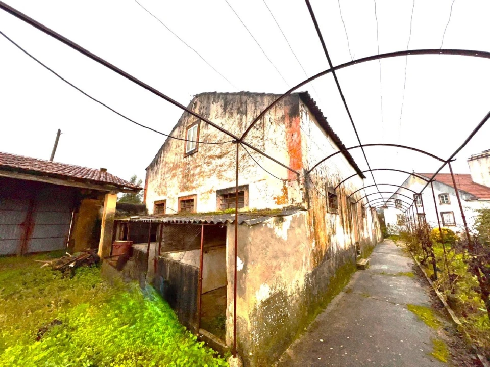 Quinta T3 para Venda em Ferreira do Zezere Foto 72