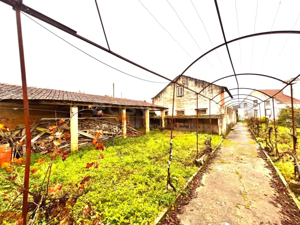 Quinta T3 para Venda em Ferreira do Zezere Foto 73