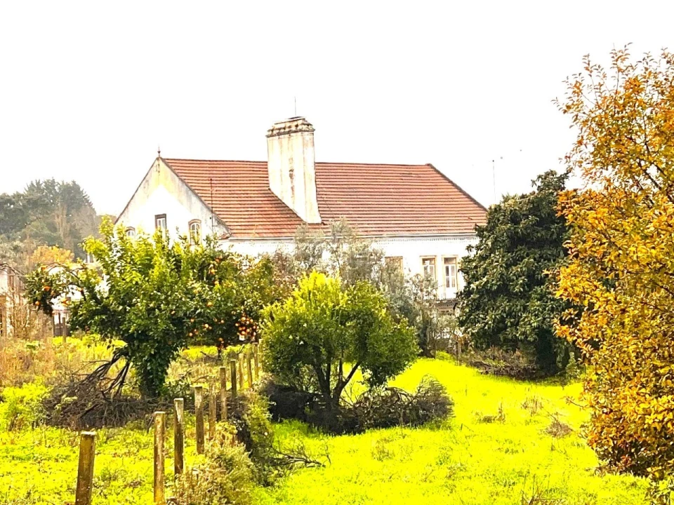 Quinta T3 para Venda em Ferreira do Zezere Foto 83