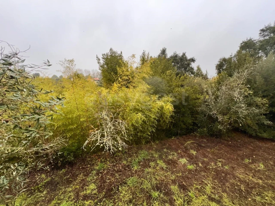 Quinta T3 para Venda em Ferreira do Zezere Foto 85