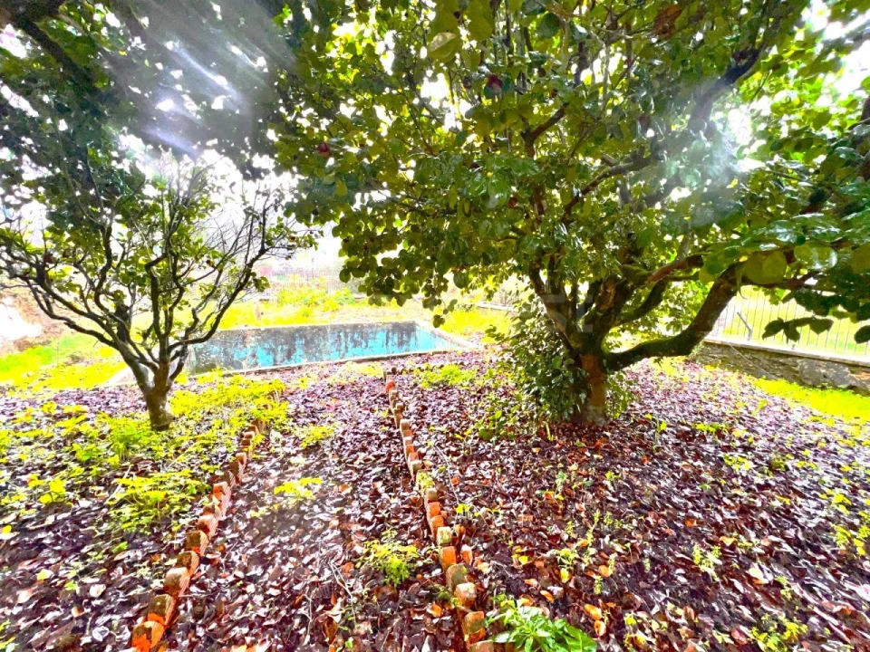 Quinta T3 para Venda em Ferreira do Zezere Foto 88