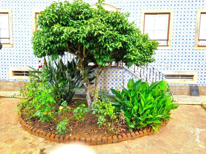 Quinta T3 para Venda em Ferreira do Zezere Foto 4