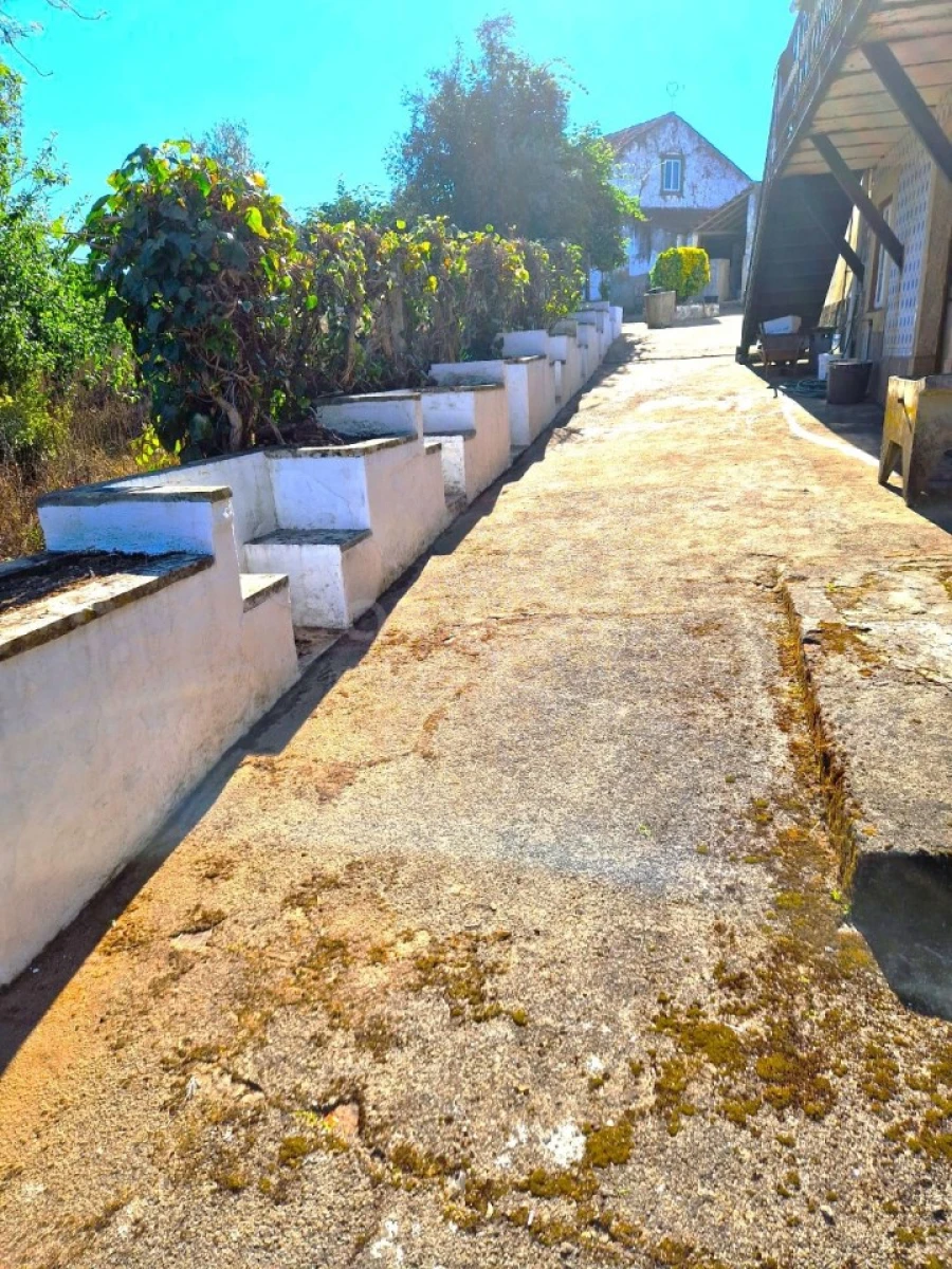 Quinta T3 para Venda em Ferreira do Zezere Foto 10