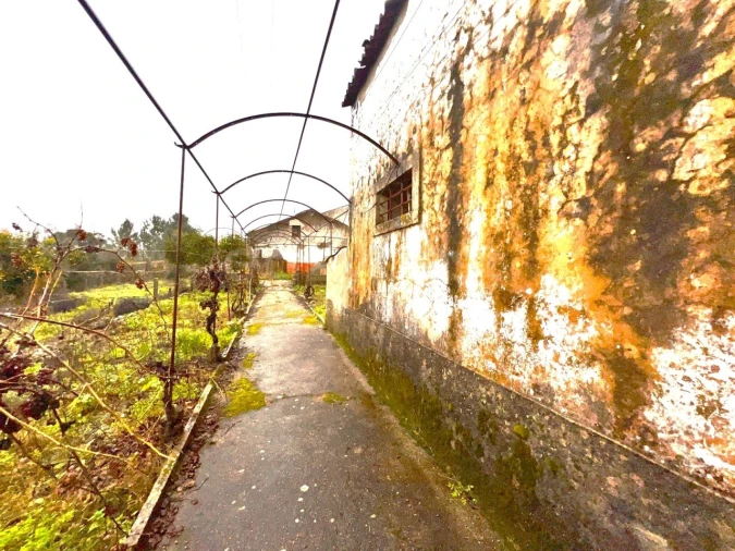 Quinta T3 para Venda em Ferreira do Zezere Foto 67