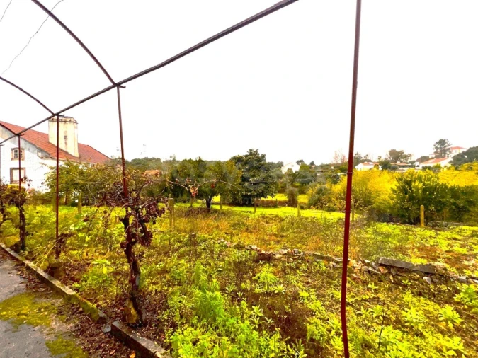 Quinta T3 para Venda em Ferreira do Zezere Foto 71