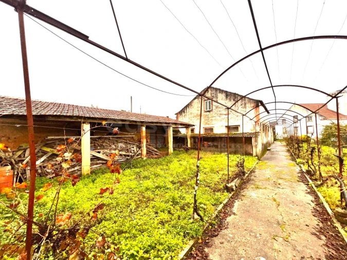 Quinta T3 para Venda em Ferreira do Zezere Foto 73